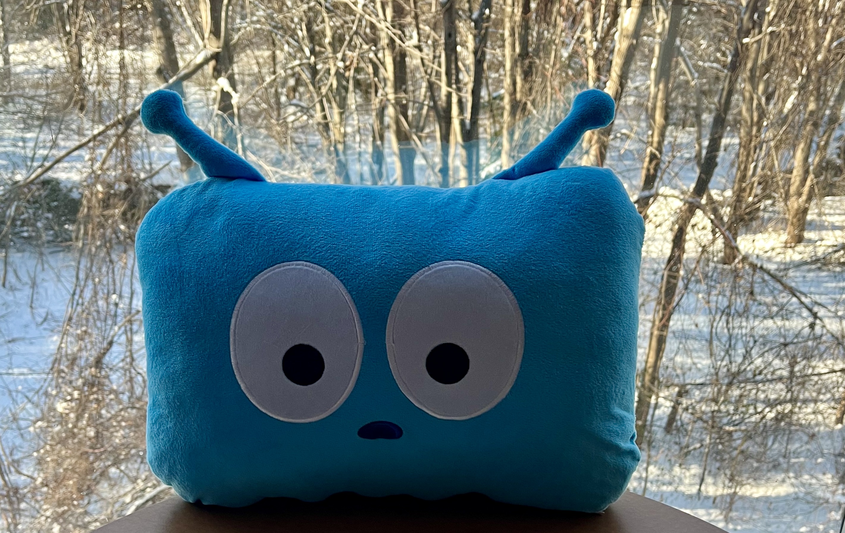 Edsby Pillow Window