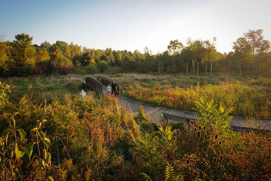 East Humber Trail