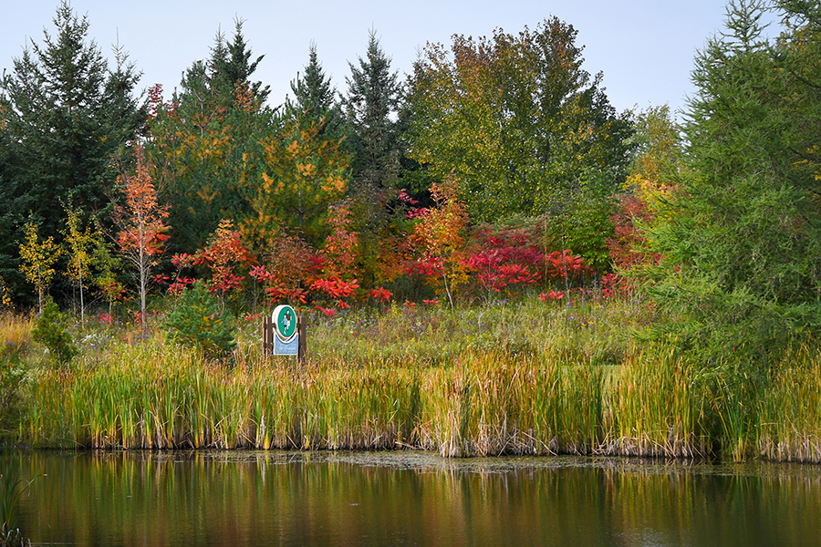 Phyllis Rawlinson Park