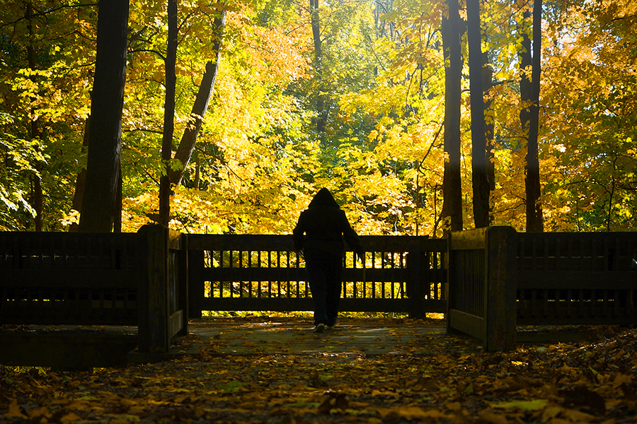 Elgin Mills Greenway