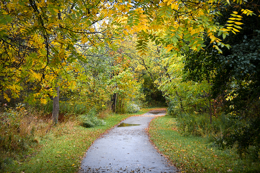 South Richvale Greenway