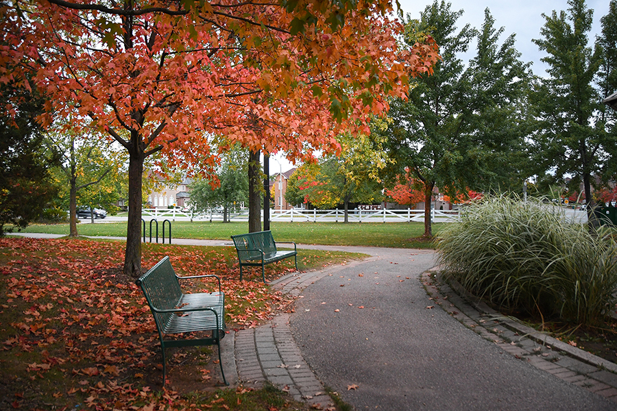 Russell Farm Park