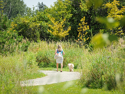 Image of person walking a dog at Phyllis Rawlinson Park